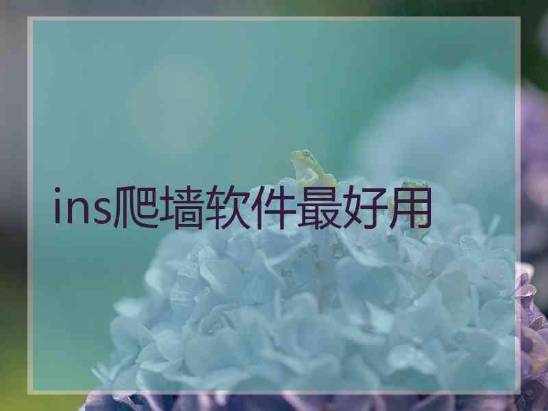 ins爬墙软件最好用