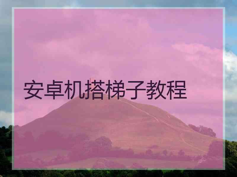 安卓机搭梯子教程