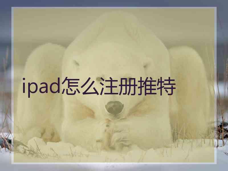 ipad怎么注册推特