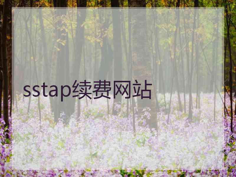 sstap续费网站