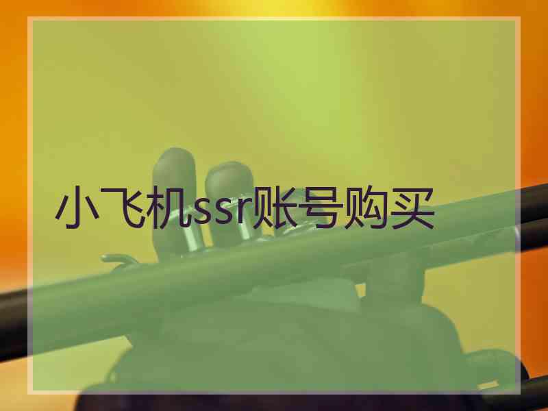 小飞机ssr账号购买