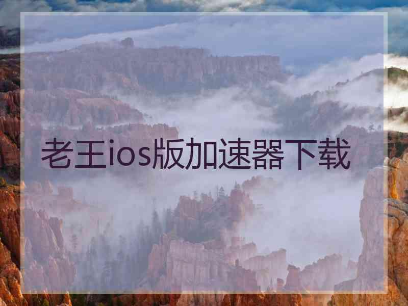 老王ios版加速器下载