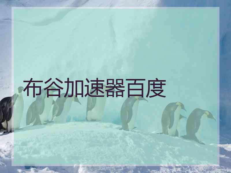 布谷加速器百度