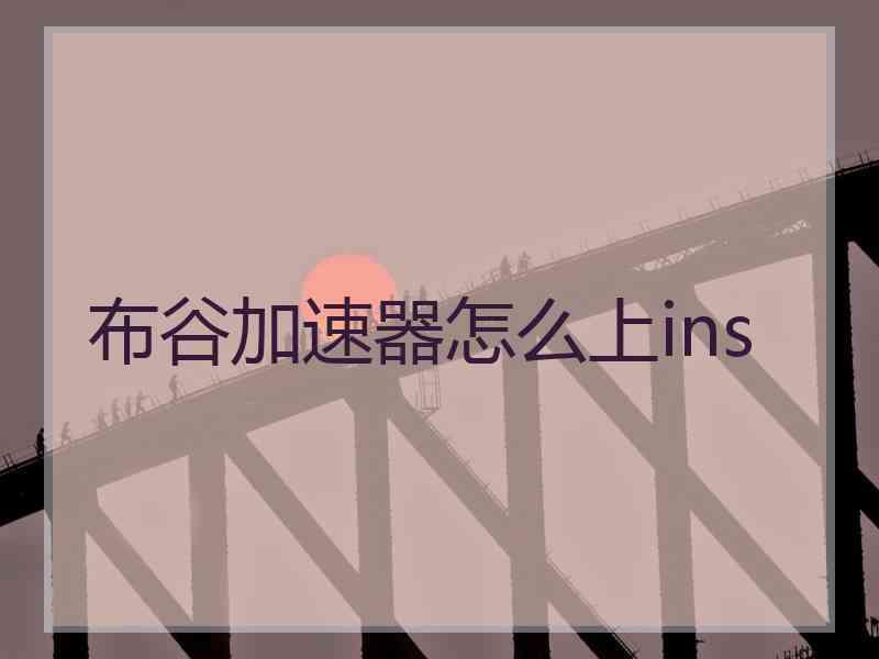 布谷加速器怎么上ins
