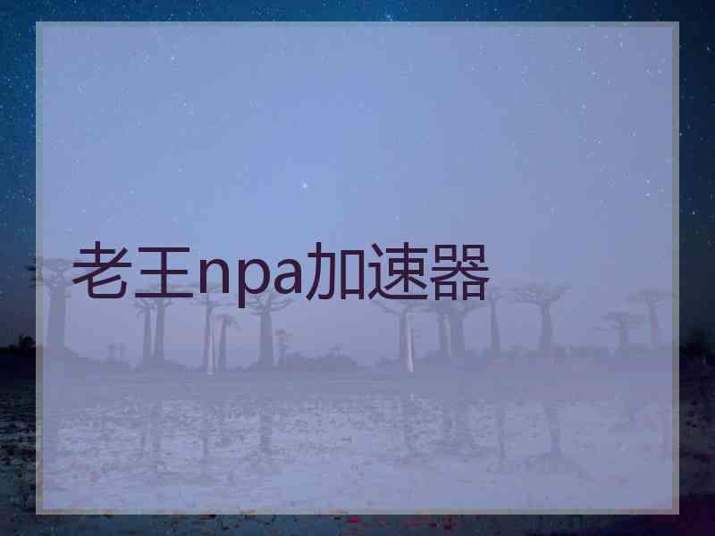 老王npa加速器