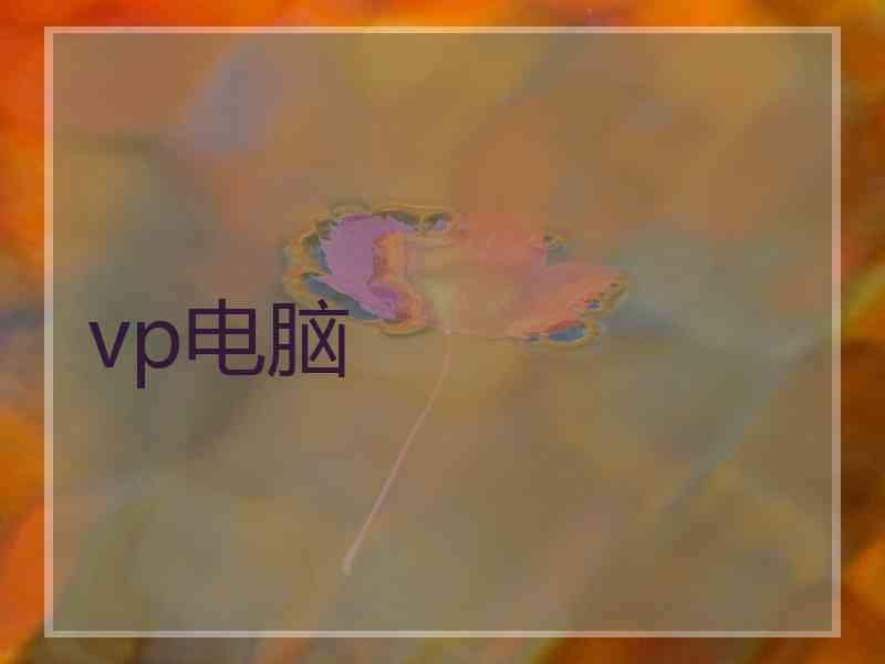 vp电脑