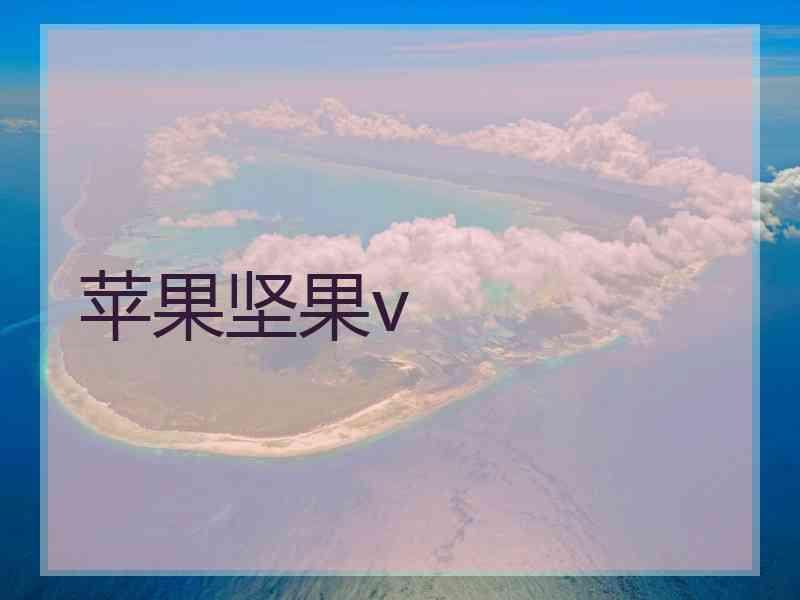 苹果坚果v