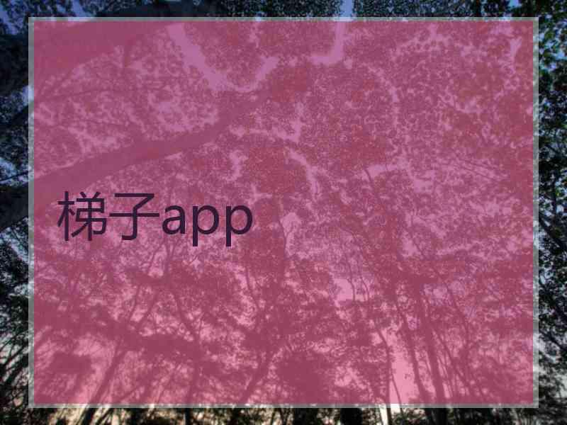 梯子app