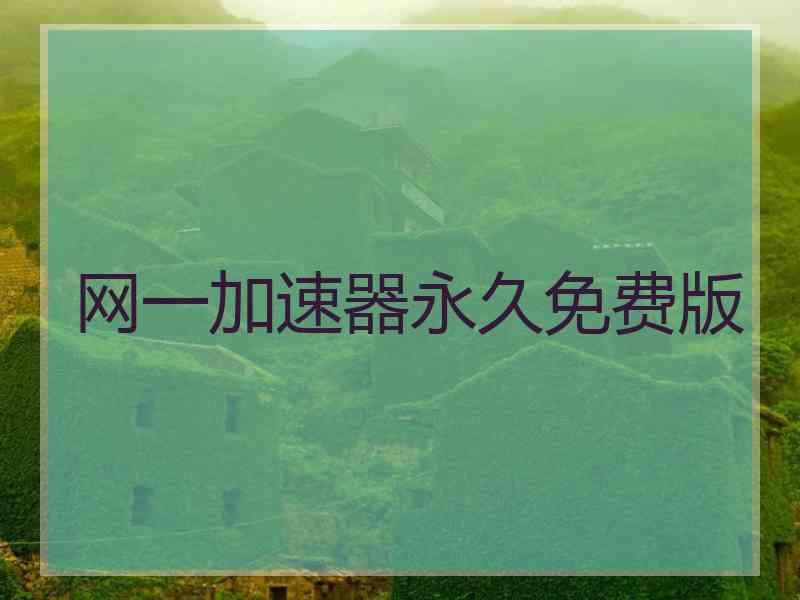 网一加速器永久免费版