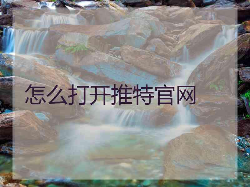 怎么打开推特官网