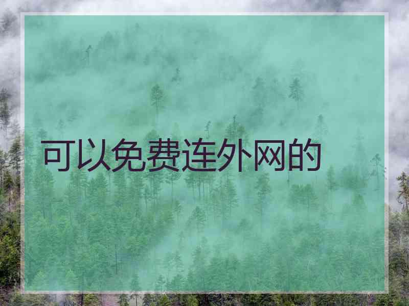 可以免费连外网的