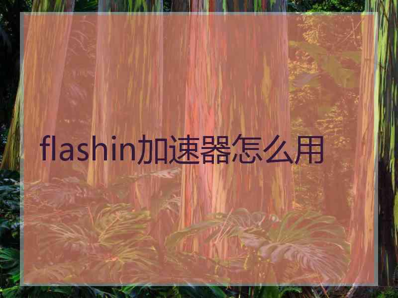 flashin加速器怎么用