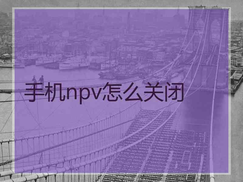 手机npv怎么关闭