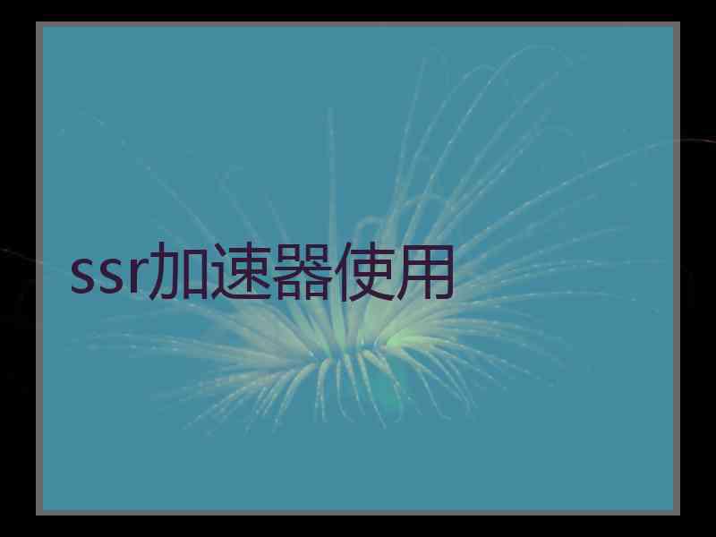 ssr加速器使用