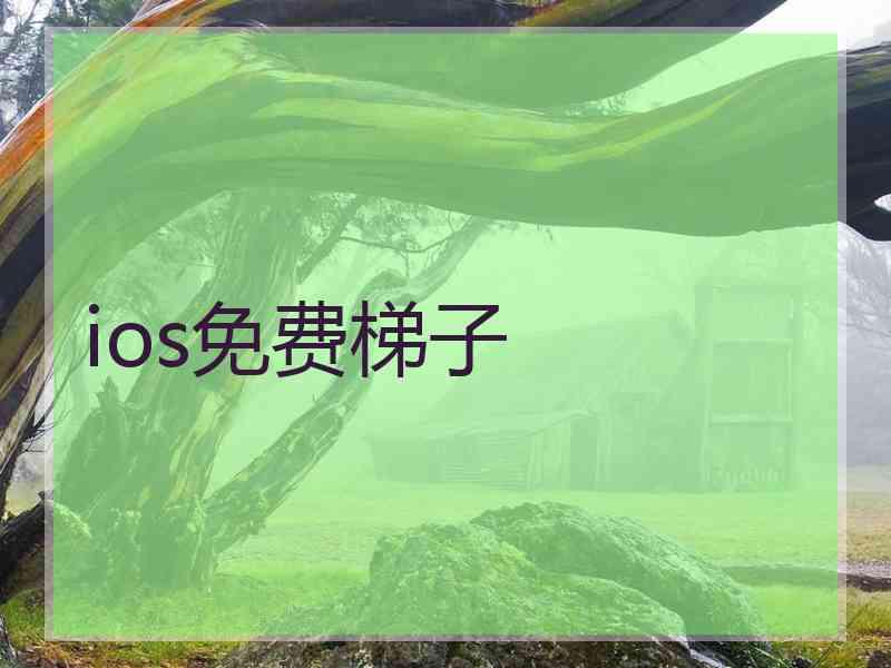 ios免费梯子