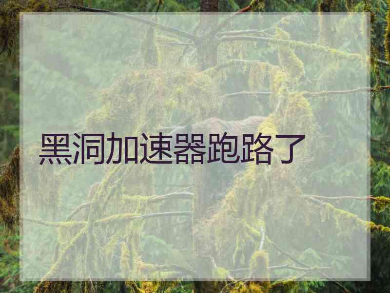 黑洞加速器跑路了