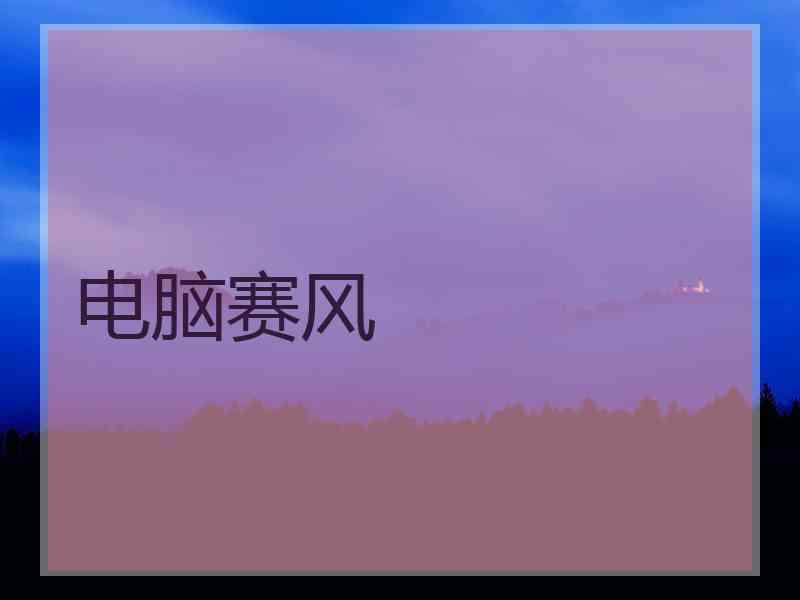 电脑赛风