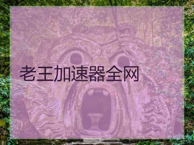 老王加速器全网