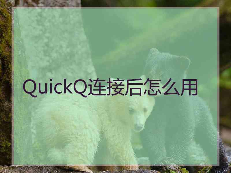 QuickQ连接后怎么用