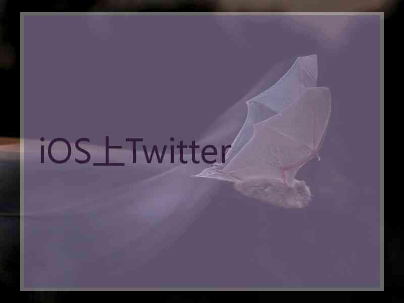iOS上Twitter