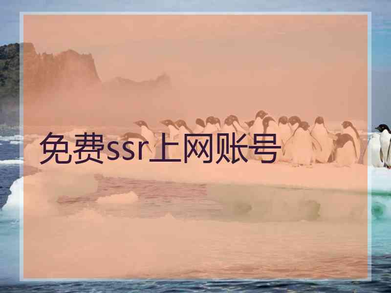 免费ssr上网账号