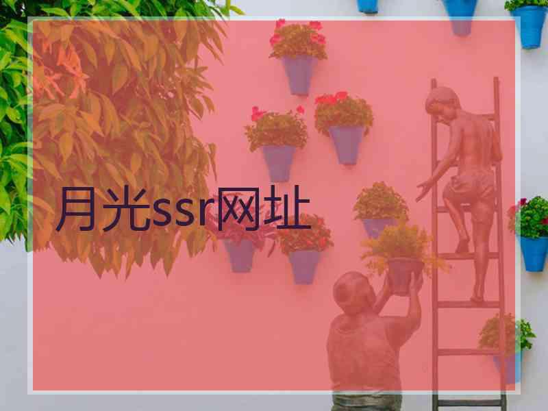 月光ssr网址