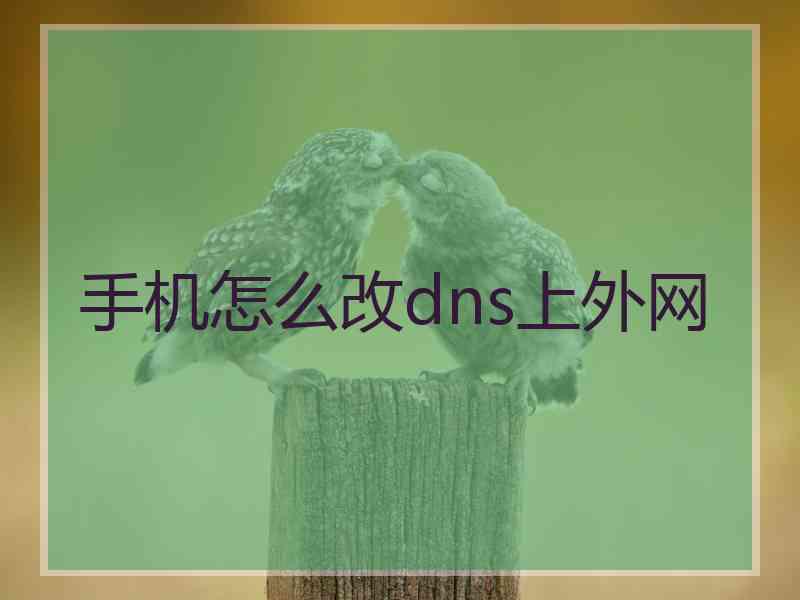 手机怎么改dns上外网