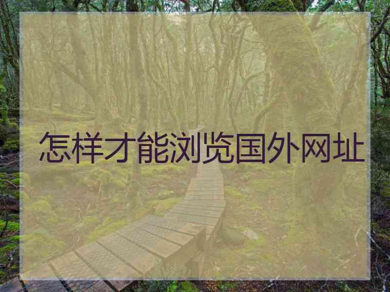 怎样才能浏览国外网址