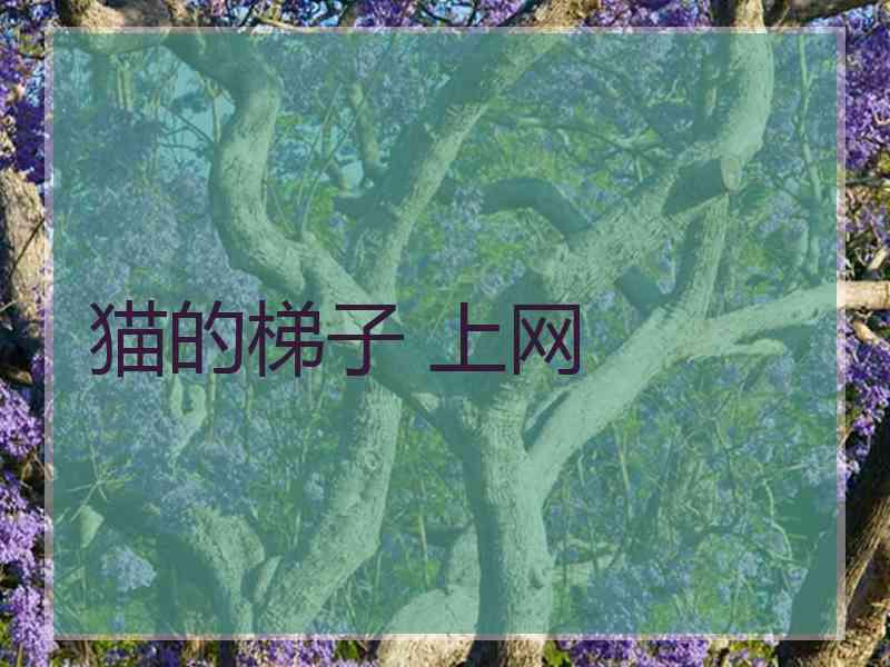 猫的梯子 上网