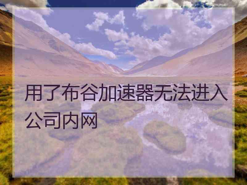 用了布谷加速器无法进入公司内网