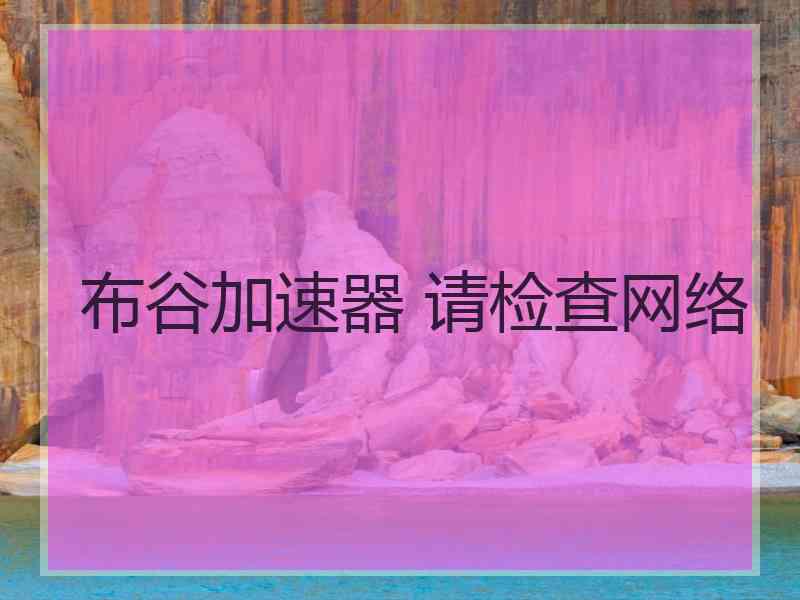 布谷加速器 请检查网络