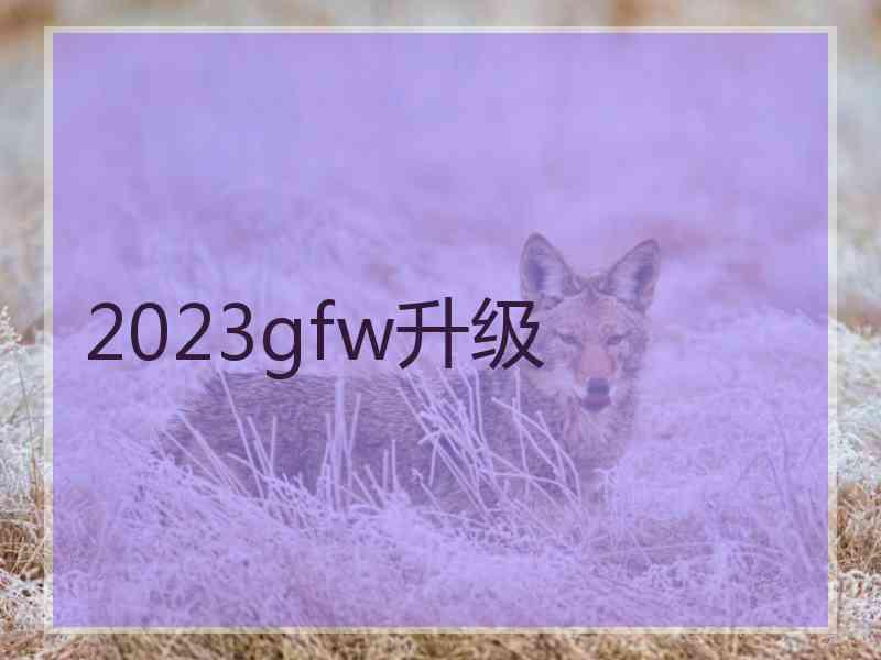 2023gfw升级