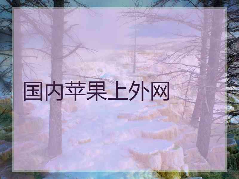 国内苹果上外网
