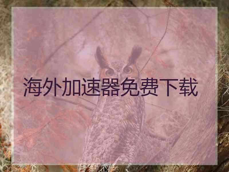 海外加速器免费下载