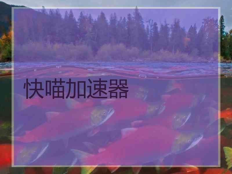 快喵加速器