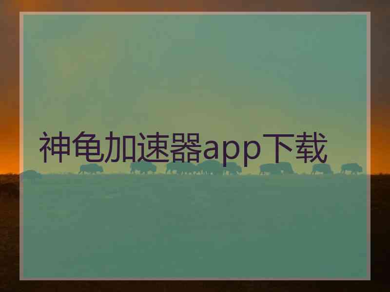 神龟加速器app下载