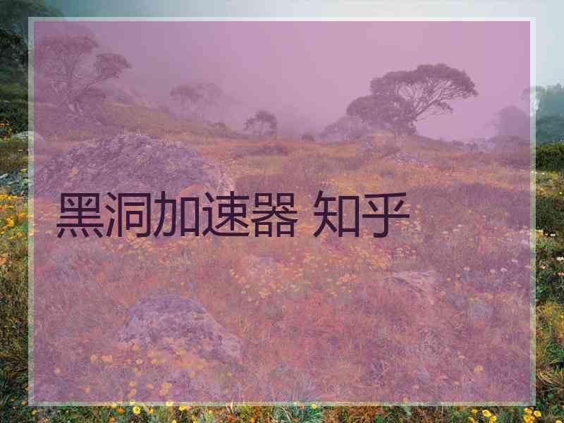 黑洞加速器 知乎