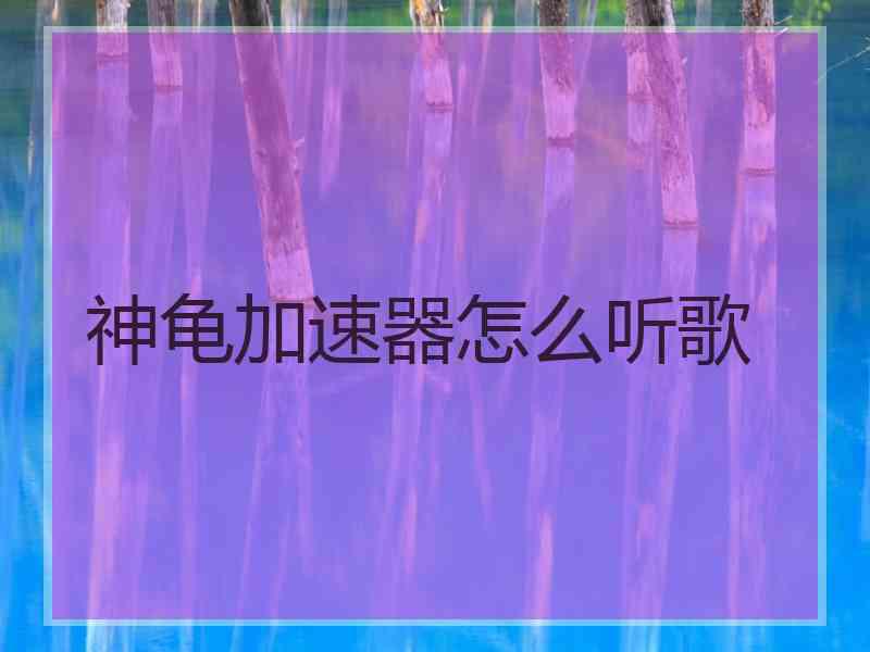 神龟加速器怎么听歌