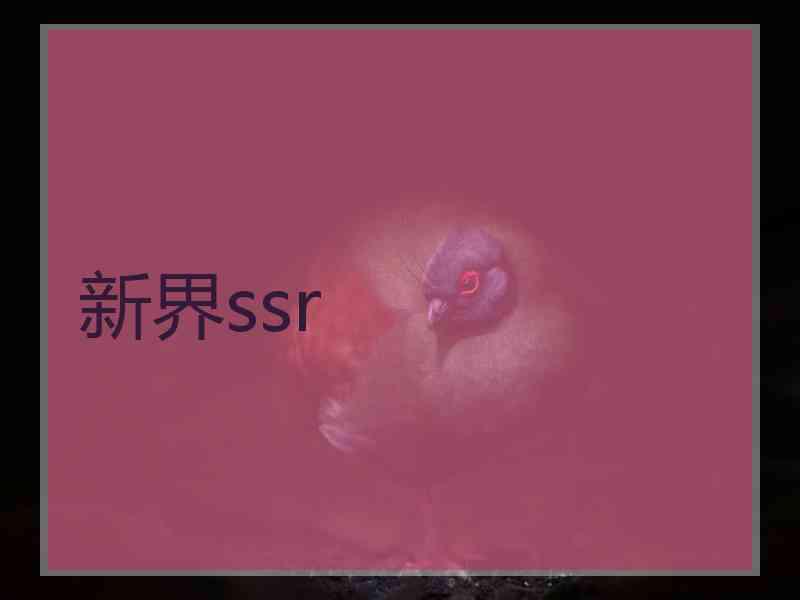 新界ssr