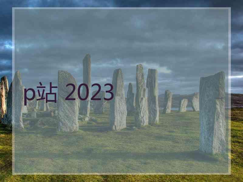 p站 2023