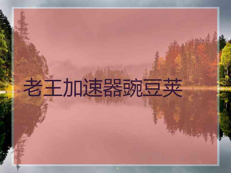 老王加速器豌豆荚