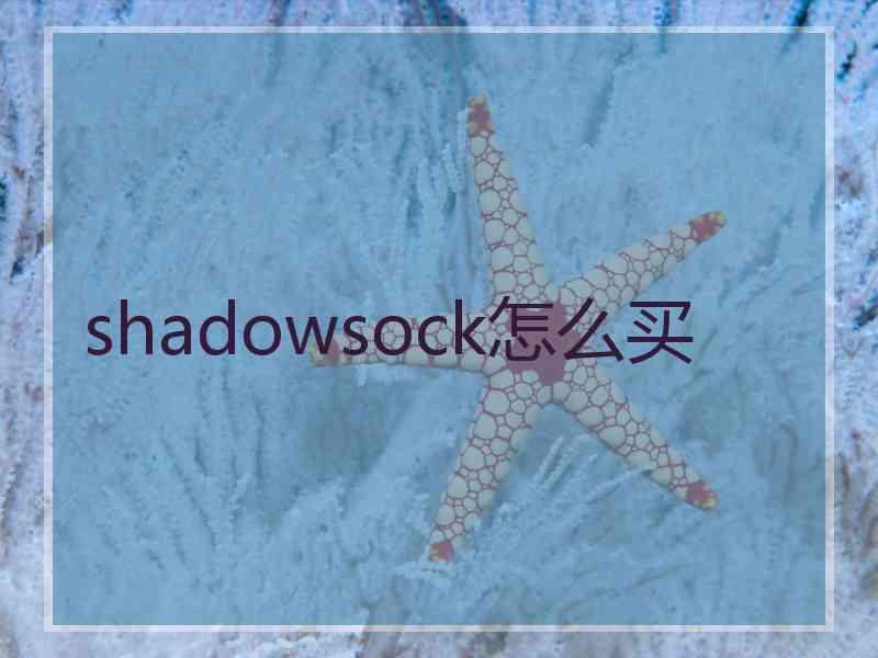 shadowsock怎么买
