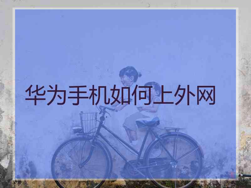 华为手机如何上外网
