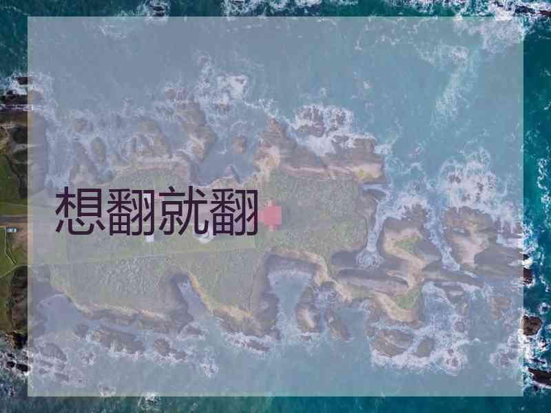 想翻就翻