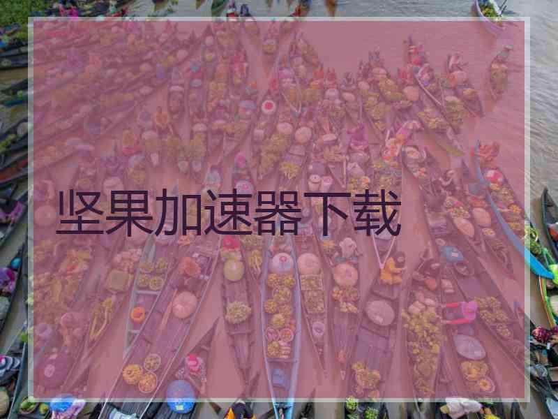 坚果加速器下载