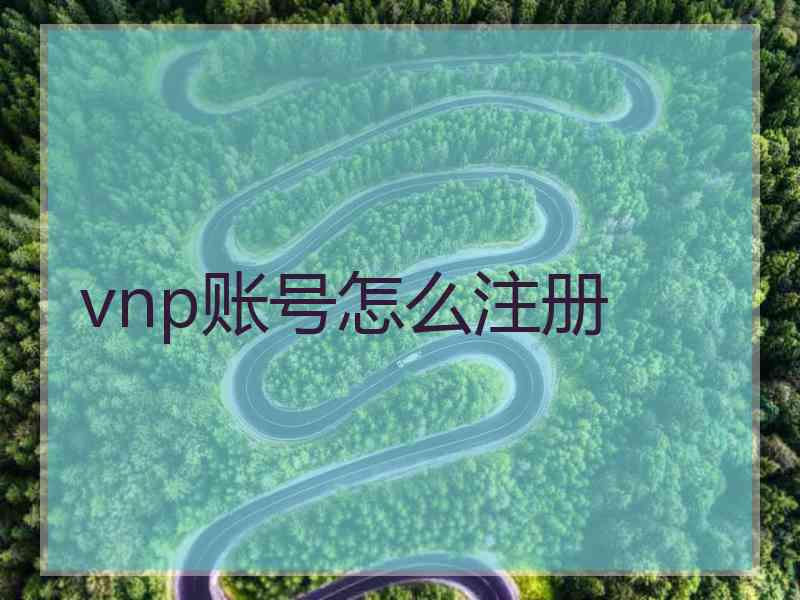 vnp账号怎么注册