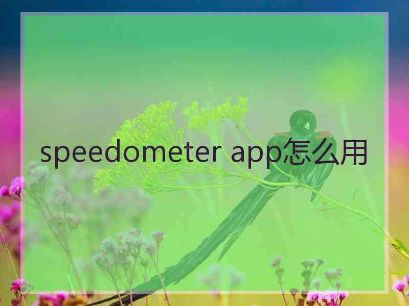 speedometer app怎么用