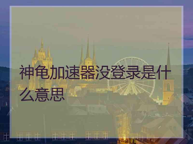 神龟加速器没登录是什么意思