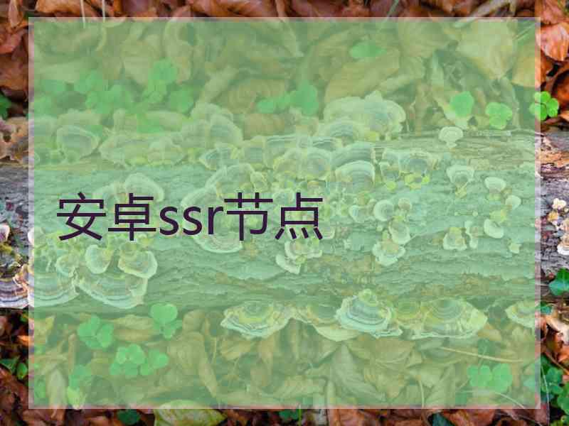 安卓ssr节点