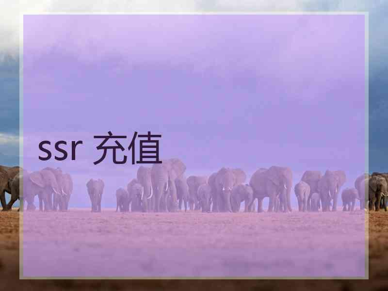 ssr 充值